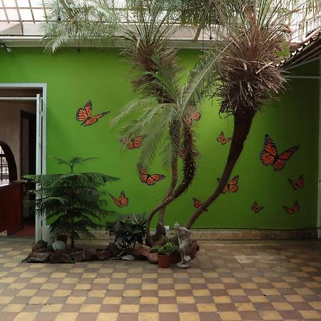 Casa Mayela Guest House Сан-Хосе Экстерьер фото